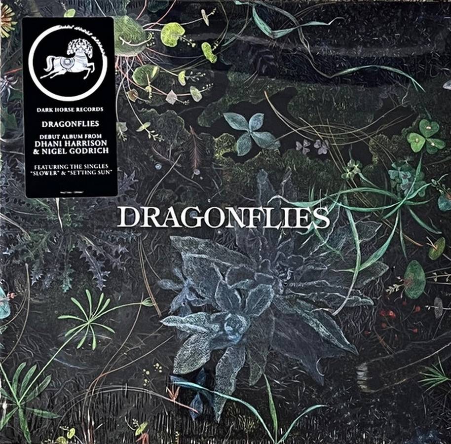 Dragonflies – Dragonflies